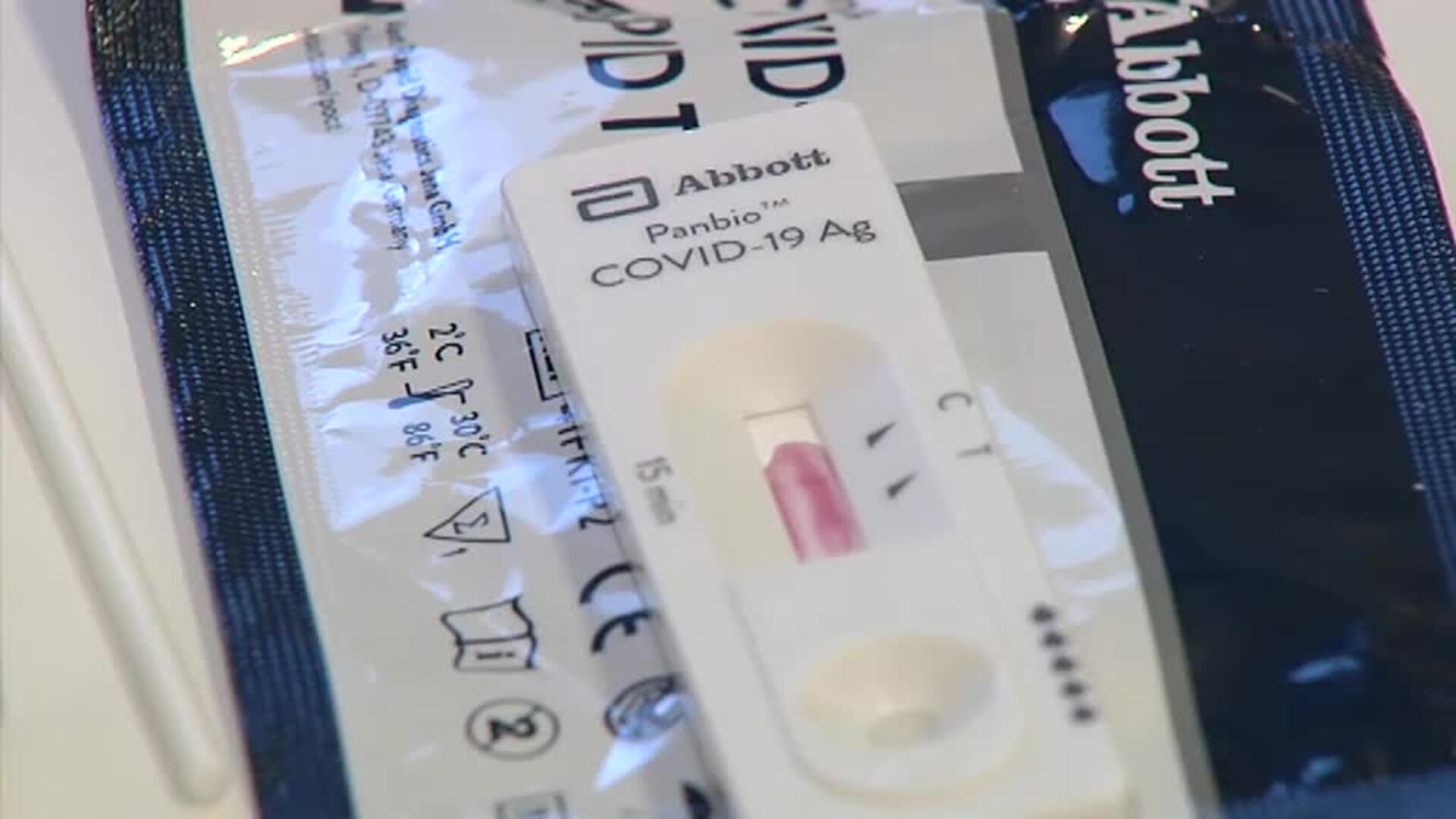 La &quot;cepa del farolillo&quot; viaja de la Feria de Sevilla a la de Jerez