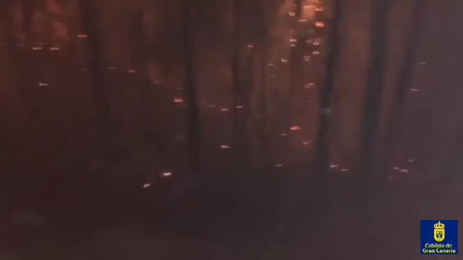 El foco más violento del incendio de Gran Canaria continúa activo