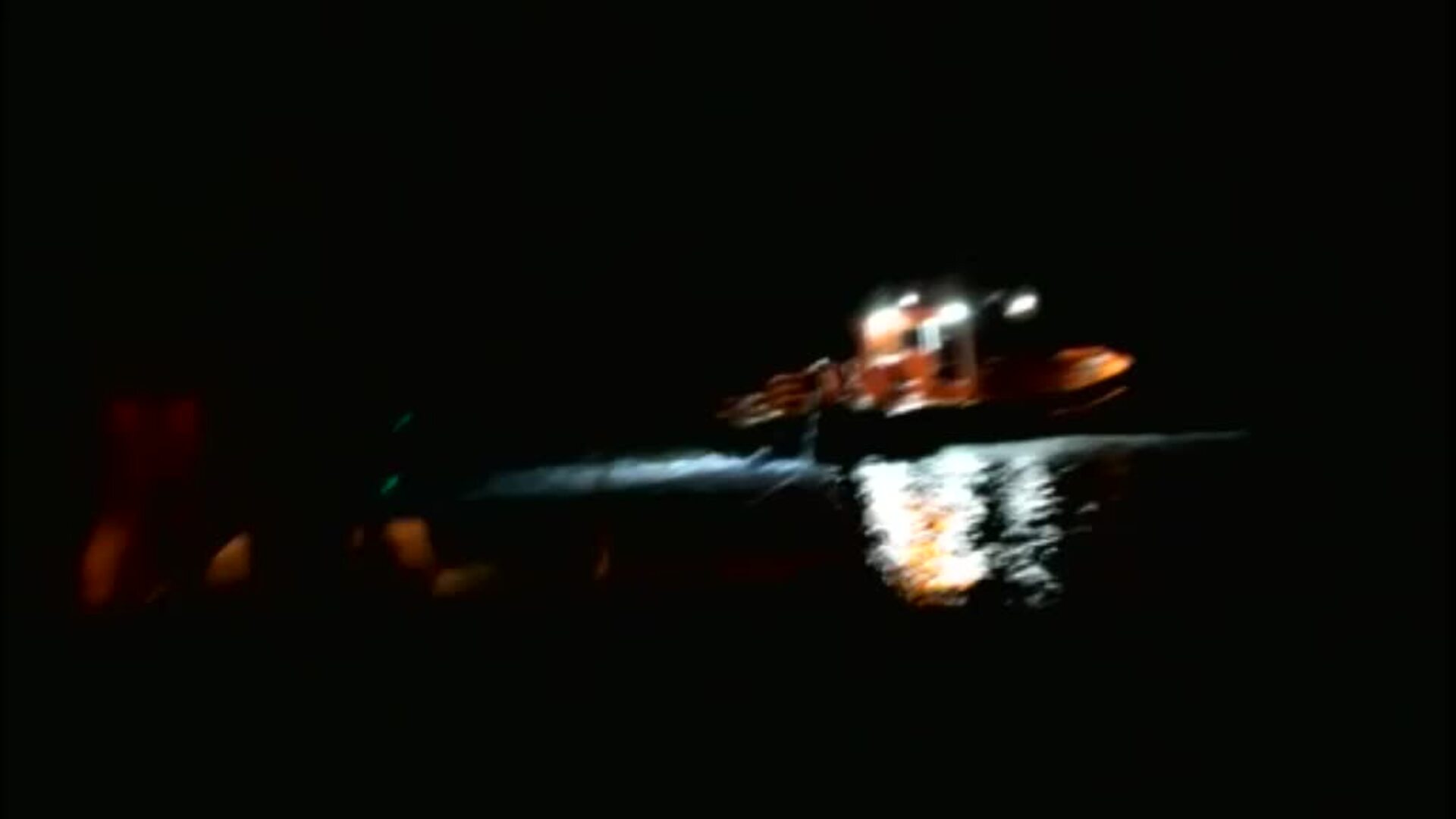 Las orcas atacan de nuevo en la costa gaditana