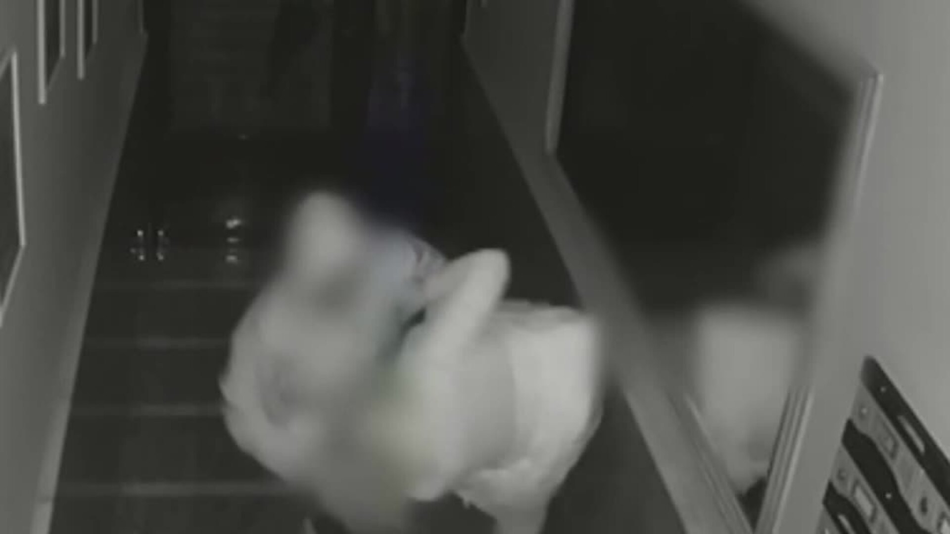 Detienen al autor de un violento robo en un portal de Alicante