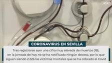 Los curados en las últimas 24 horas multiplican por ocho a los nuevos infectados en Sevilla