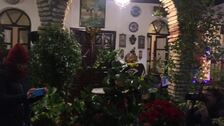 Las flores del frío y la Navidad ya se abren en los Patios de Córdoba