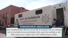 Se reducen a la mitad los contagios de coronavirus en Sevilla, que tampoco registra muertes en 48 horas