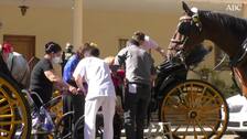 Paseo en coche de caballos para el martes de Feria en esta residencia de Triana