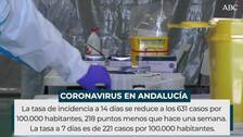 Menos hospitalizados en Andalucía, que suma otro día con más de cien muertos por Covid