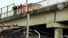 El curioso rescate de la Policía Local a una cabra que deambulaba por un trazado ferroviario en Sevilla