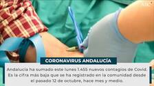 Andalucía suma 1.455 contagios de coronavirus, la cifra más baja desde primeros de octubre