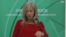 Museo Arqueológico de Sevilla, las claves de su cierre