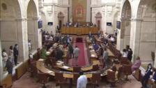 Una rata, una salida al Senado y una reunión con jóvenes... fin de curso en el Parlamento de Andalucía
