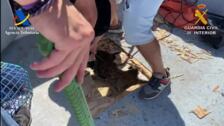 Intervenidas dos toneladas de hachís en Isla Cristina