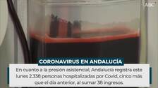 Importante bajada de contagios y muertes por Covid-19 en Andalucía con cifras anteriores a la tercera ola