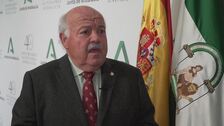 Bares, comercios, transportes, ceremonias…: ¿cuáles son los aforos en Andalucía con el nivel 2 de alerta?