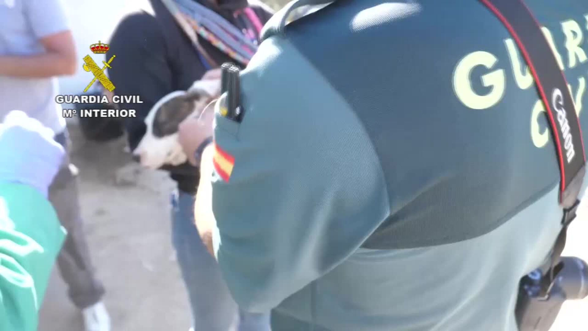 Investigado por maltrato animal tras localizar 56 perros en malas condiciones en un pueblo de Huelva