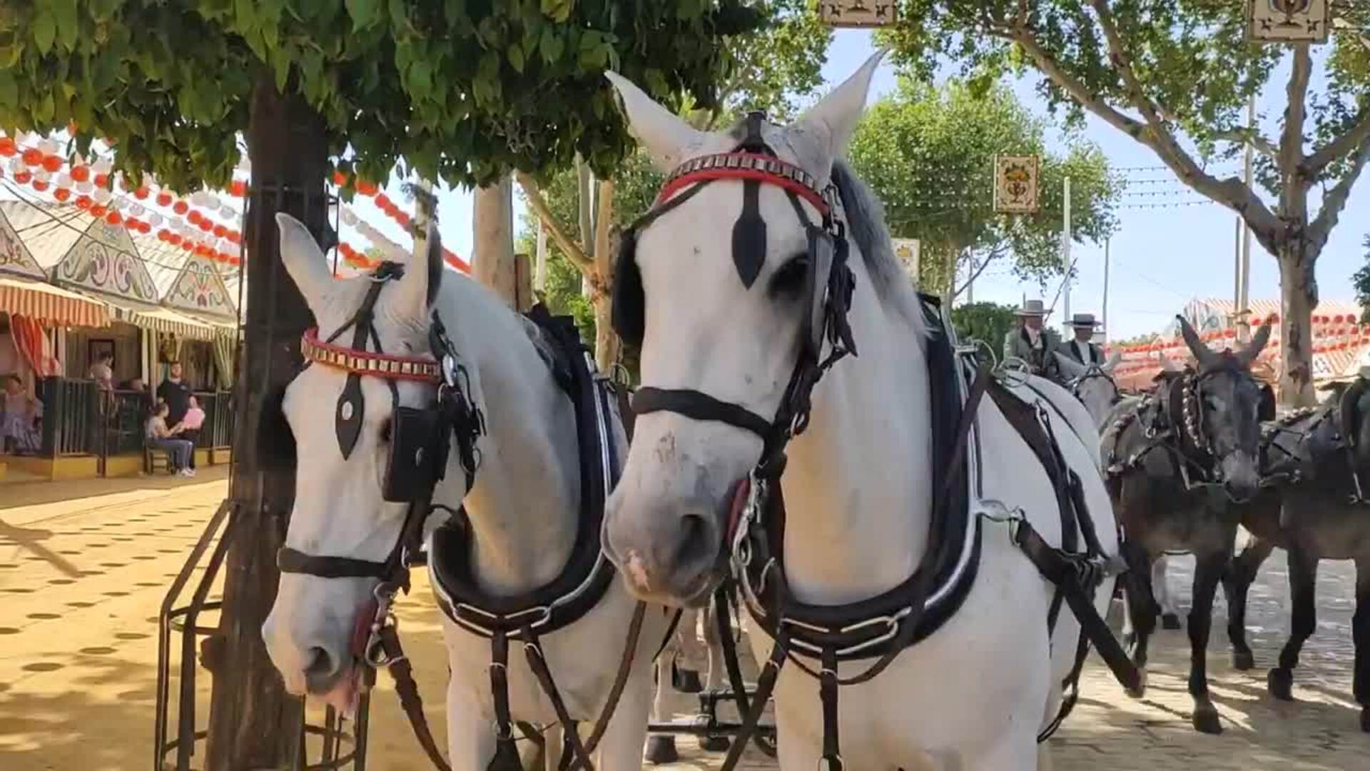 Amazonas posan ante la portada de Sevilla