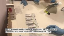 Los hospitales andaluces, en fase de «circulación controlada» de Covid a pesar de subir los ingresos