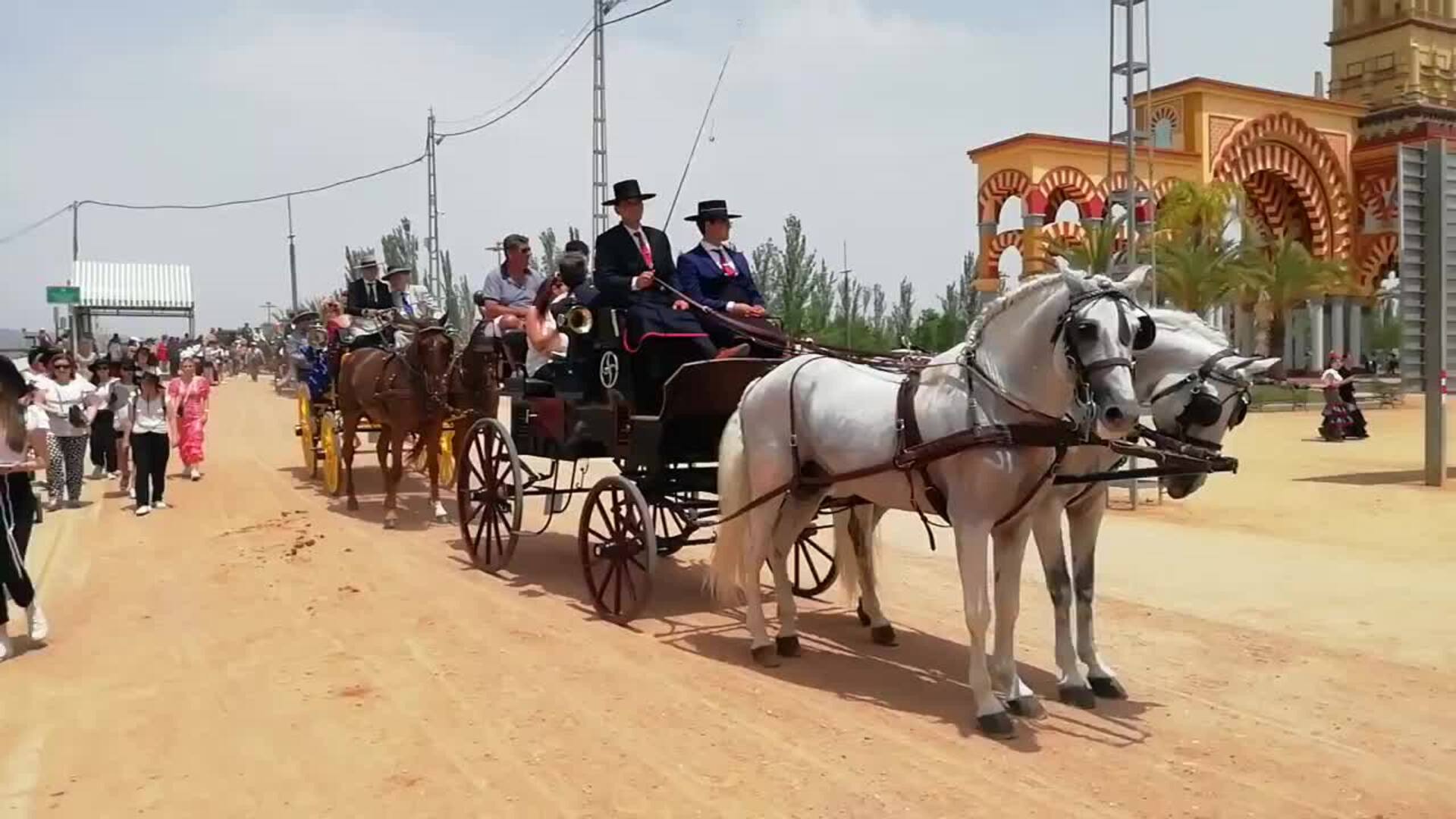 carruajes-video-cordoba