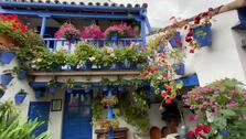 Gotas de un mayo incompleto sobre el chino cordobés de San Juan de Palomares