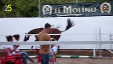 Los mejores jinetes y caballos anglo-árabes llegan al Parque del Alamillo