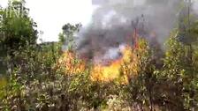 Los bomberos tratan de controlar el incendio de Huelva que ayer movilizó hasta ocho aviones