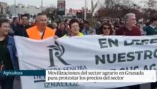 750 tractores y 200 buses colapsan Granada por la crisis del campo con una protesta histórica