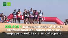 Casi 3.700 atletas participan en el Cross de Itálica de este domingo, en el que causa baja el vigente campéon