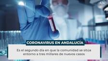 Andalucía suma 44 nuevos muertos por coronavirus y encadena tres días por encima de 30 diarios