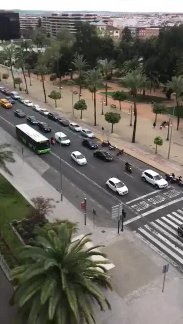 Coronavirus | Control policial a los coches que circulan por Córdoba