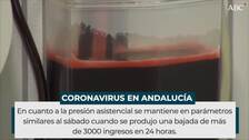 Los 1.188 nuevos contagios del día confirman la tendencia a la baja de la incidencia Covid en Andalucía