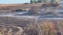 Declarado un incendio en el entorno del arroyo Porzuna en Mairena del Aljarafe