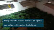 Detenidas 17 personas en una operación de la Guardia Civil contra las plantaciones de marihuana en Sevilla
