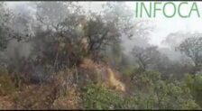 Cuatro incendios forestales afectan a diferentes puntos de la provincia de Sevilla
