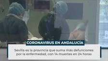 Suben de nuevo los hospitalizados y se superan los 5.000 contagios por segundo día tras el cierre de Andalucía