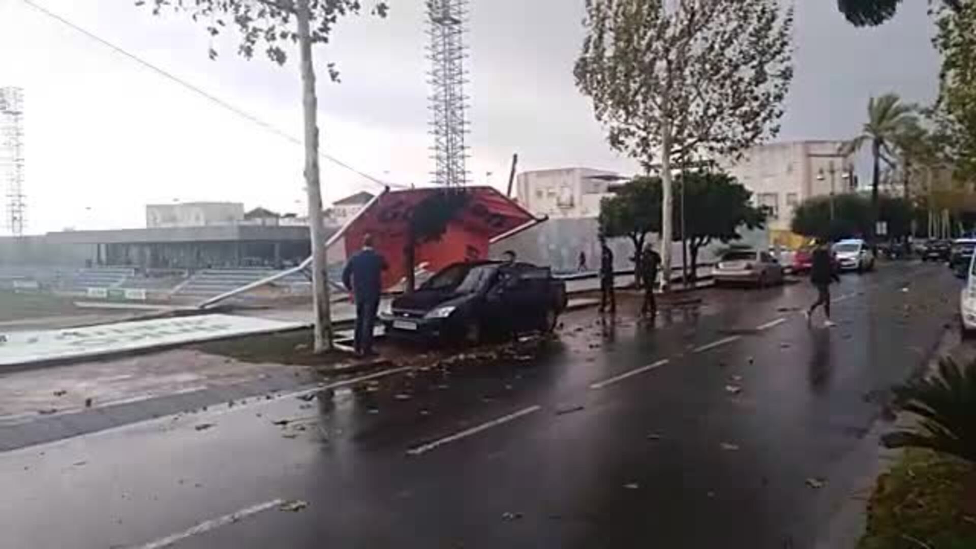 Efectos del temporal de viento y lluvia en Alcalá de Guadaíra