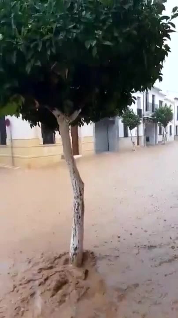 Aemet eleva a naranja el aviso por lluvias en la Sierra Sur