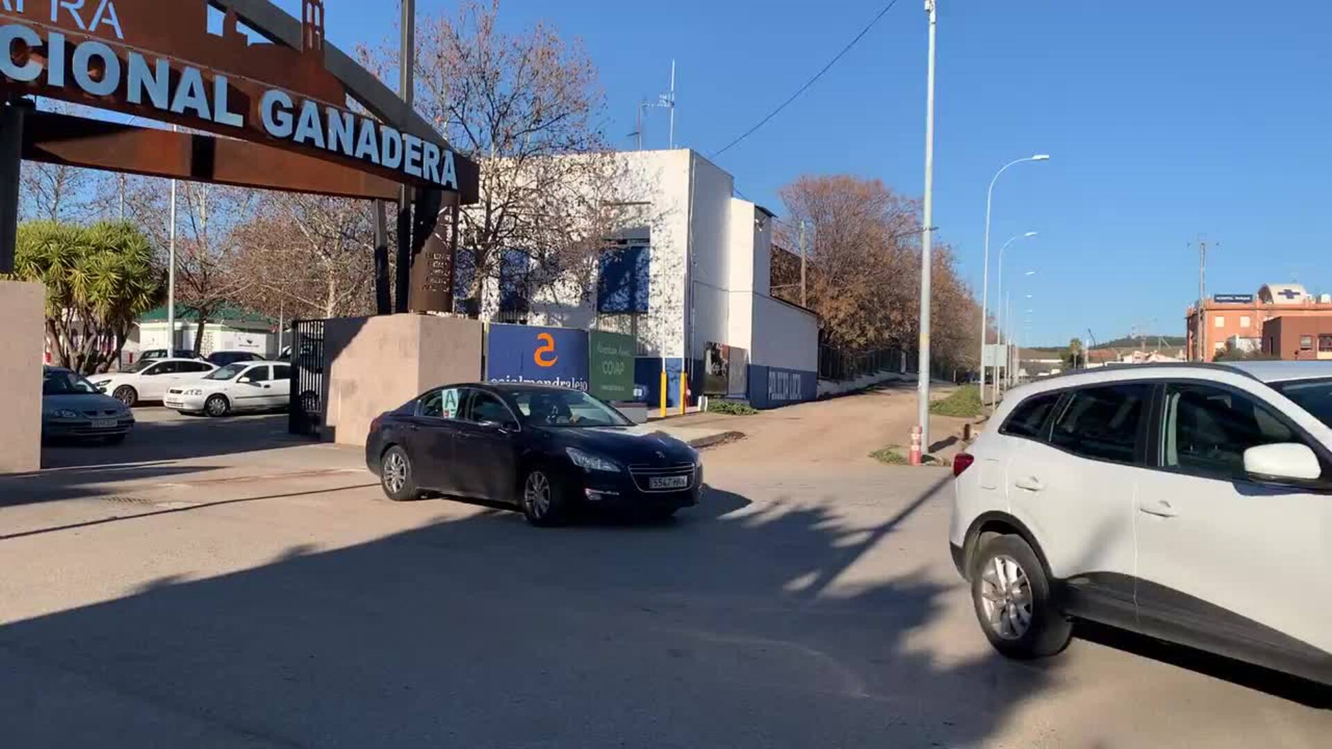 Marcha para pedir la autovía A-81