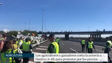 La tractorada en la A-49: sin incidentes y medio centenar de tractores