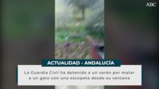 Mata a un gato a tiros desde su balcón en Huelva y sube el vídeo a las redes sociales
