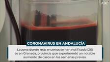 Andalucía suma otros 60 muertos por coronavirus en un solo día, récord de la segunda ola de la pandemia