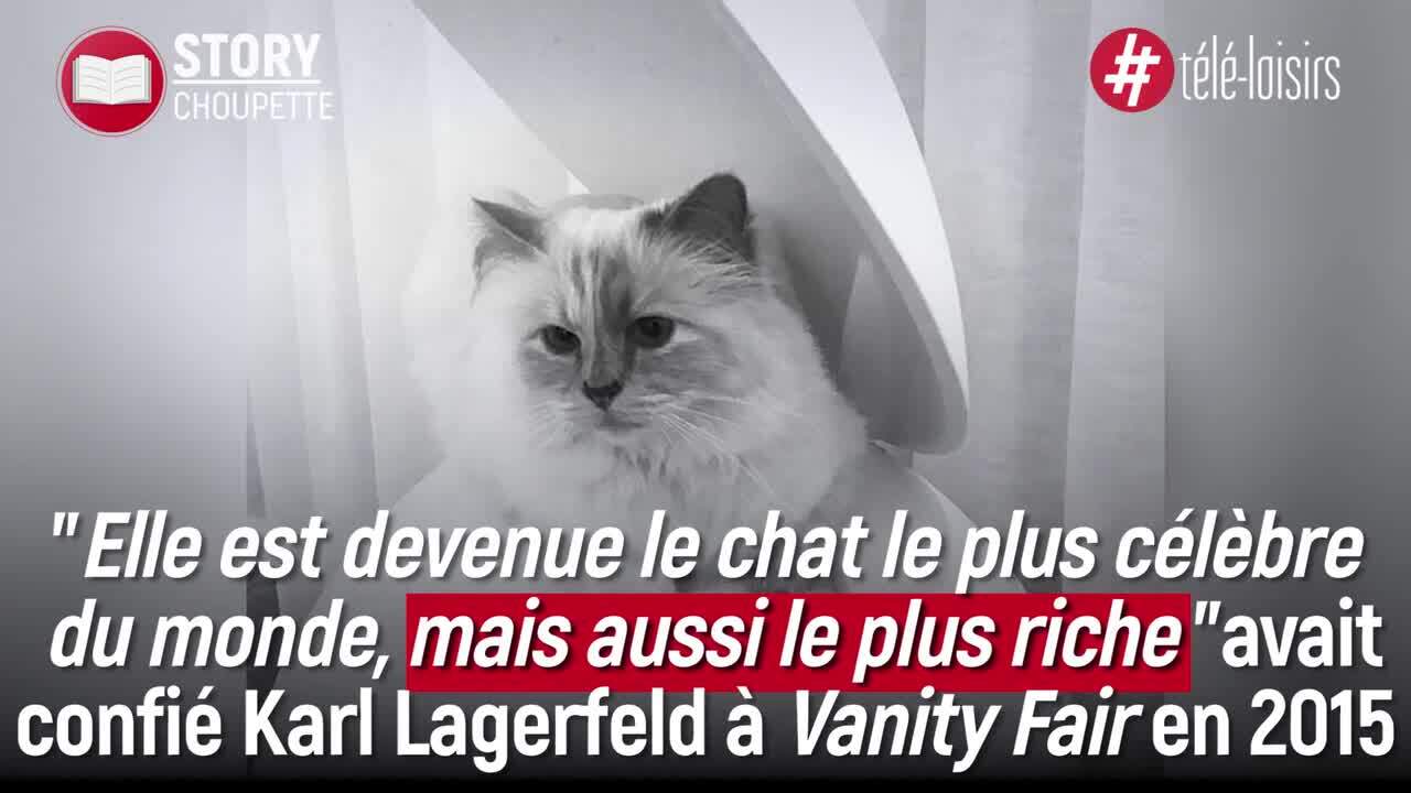 Karl Lagerfeld Qui Est Choupette Sa Riche Heritiere Video
