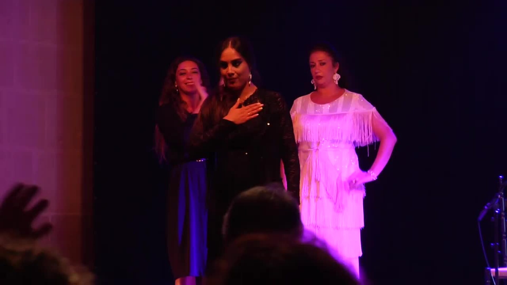 El Flamenco On Fire arrancó en Viana El Correo