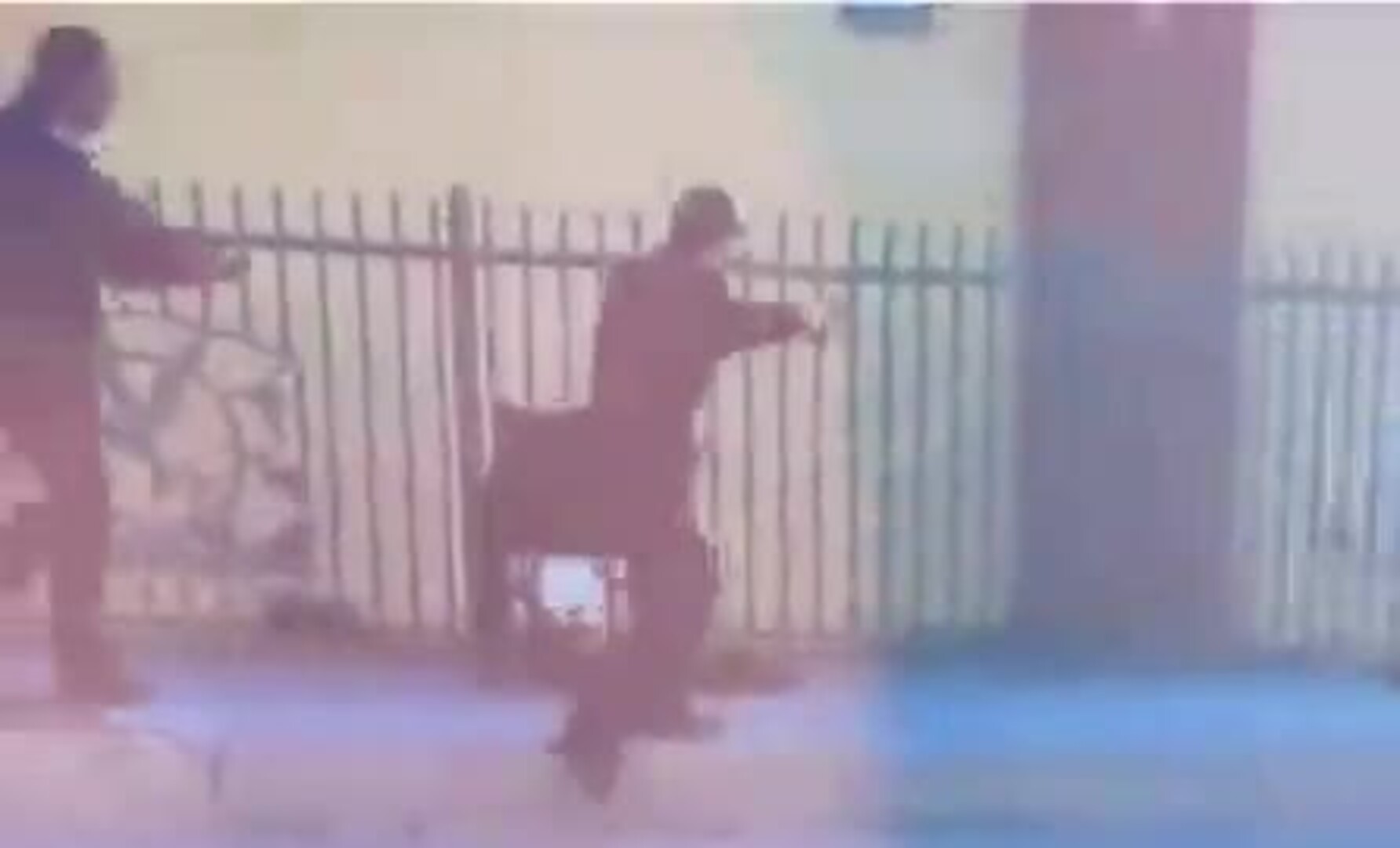 Las cinco plantas que la NASA para purificar el hogar El