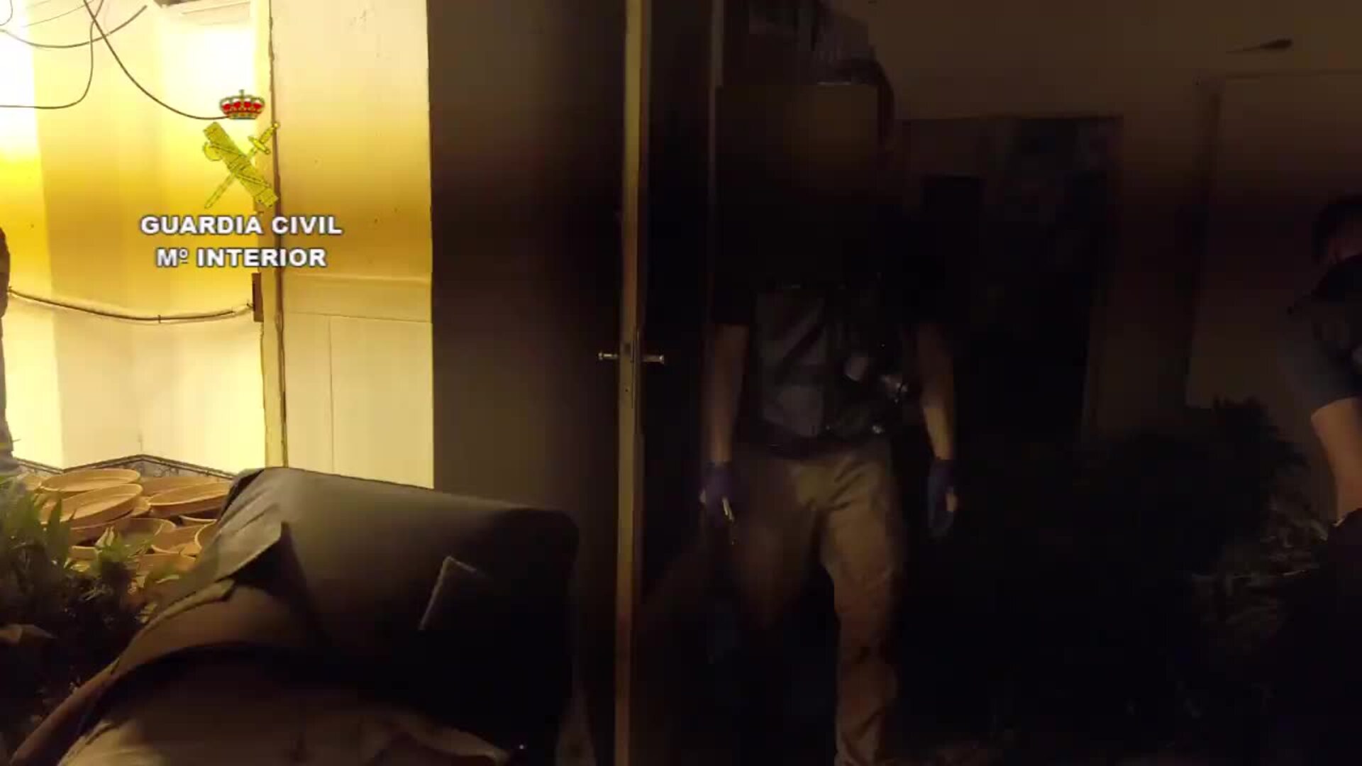 Desmantelan en Cieza un nuevo punto de venta de sustancias estupefacientes regentado por un clan familiar