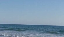 Vídeo: Delfines en la playa de La Barrosa de Chiclana