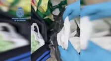 Vídeo: Imágenes de la operación que acabó con una banda de narcos gallegos que se proveía de marihuana en la provincia