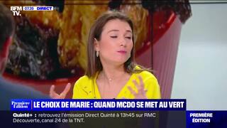 McDonald's : les frites de légumes sont-elles vraiment plus saines que les  frites de pommes de terre ? - Le Parisien