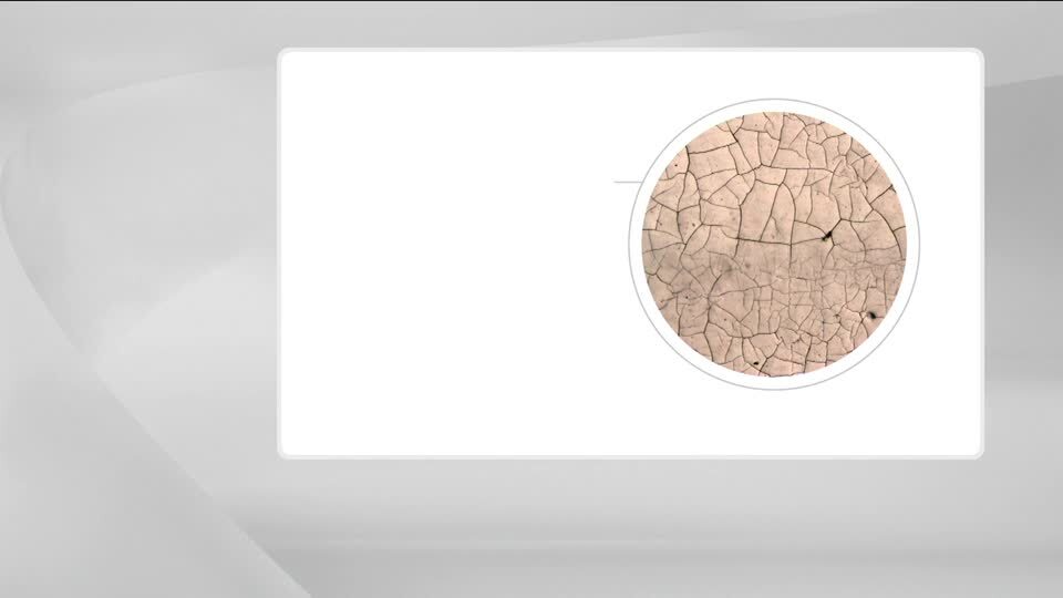 Guarda il video