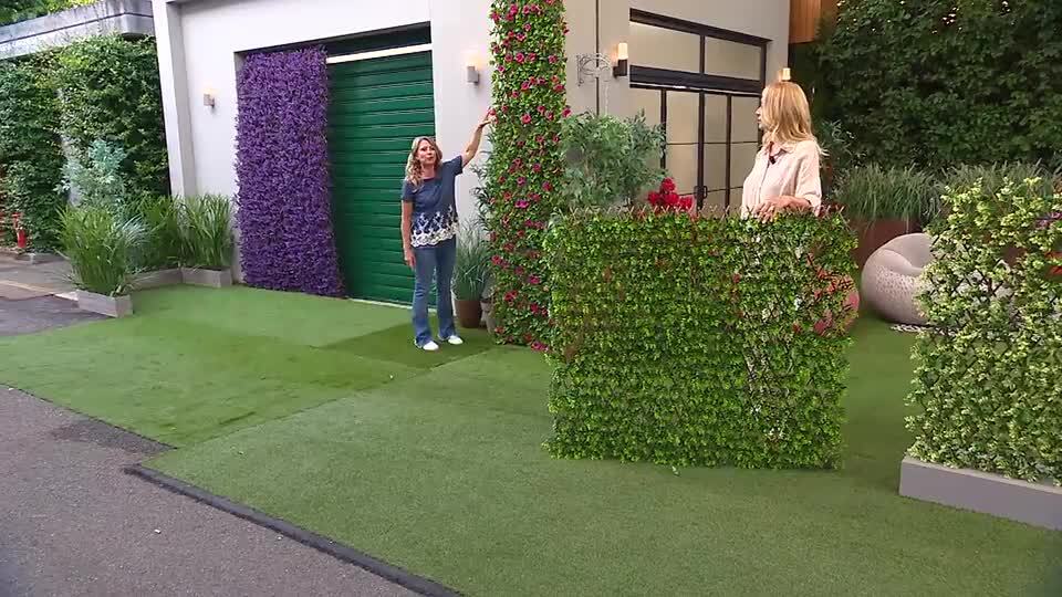 Guarda il video