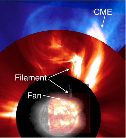 Supra-arcade Downflows in an Extensive Fan Associated with a Giant