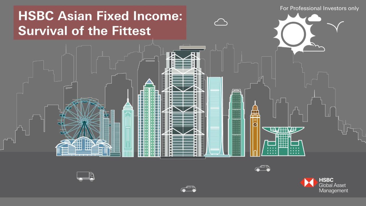 Asian Fixed Income Strategy