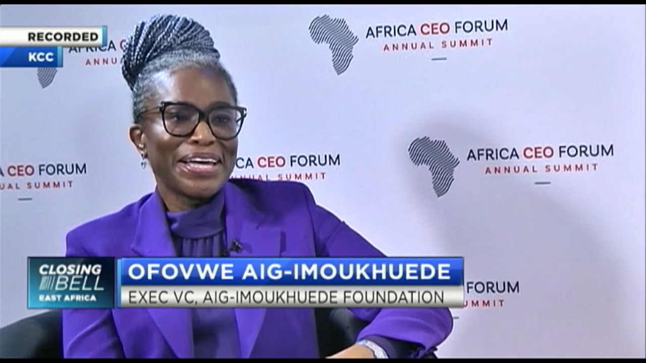 Aig-Imoukhuede: How philanthropy can help transform Africa’s public sector